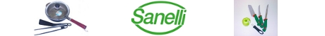 www.sanelli.fi