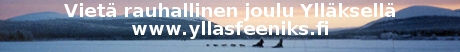 www.yllasfeeniks.fi
